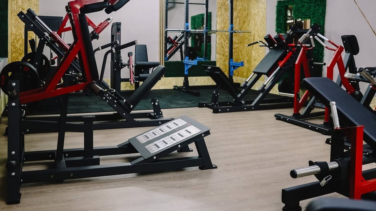 ძალის ტრენაჟორები